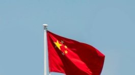 pexels-aboodi-13884397