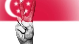 pexels-davidpeterson-344742