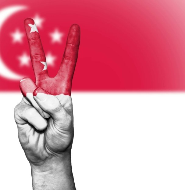 pexels-davidpeterson-344742